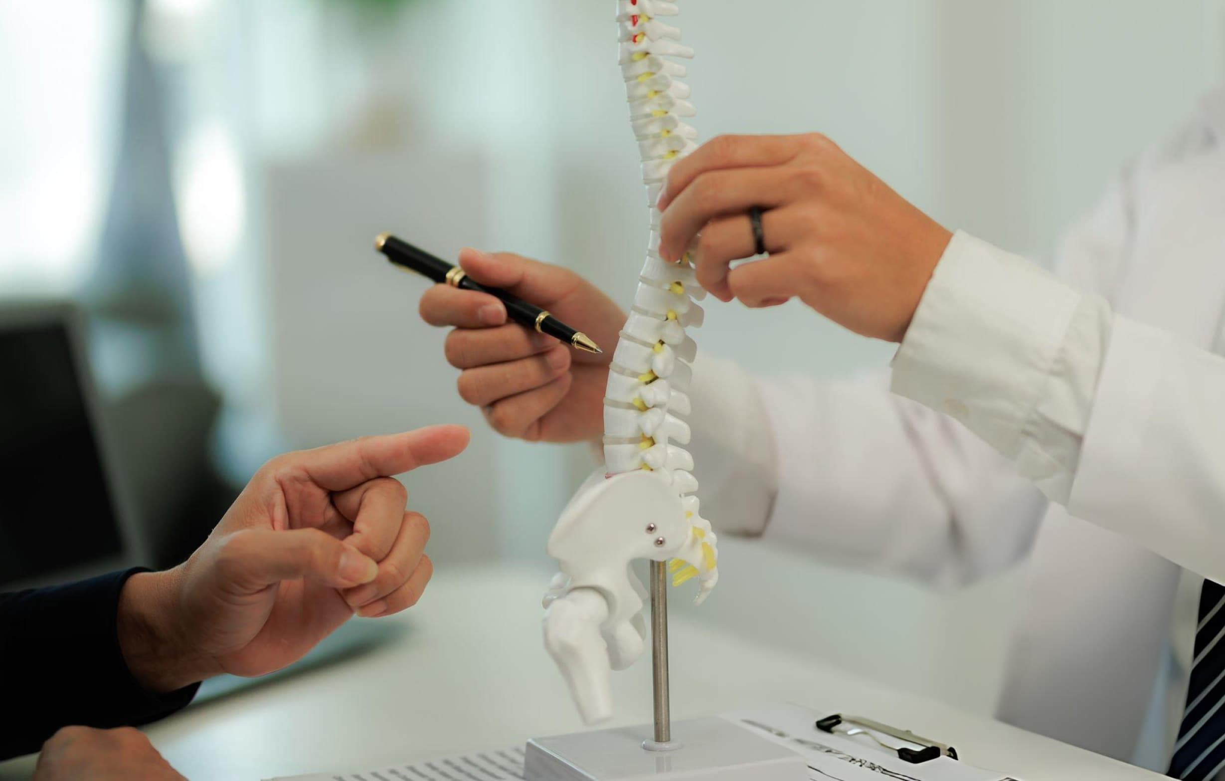 Spine Consultation & Surgery — Spine consultation and surgery